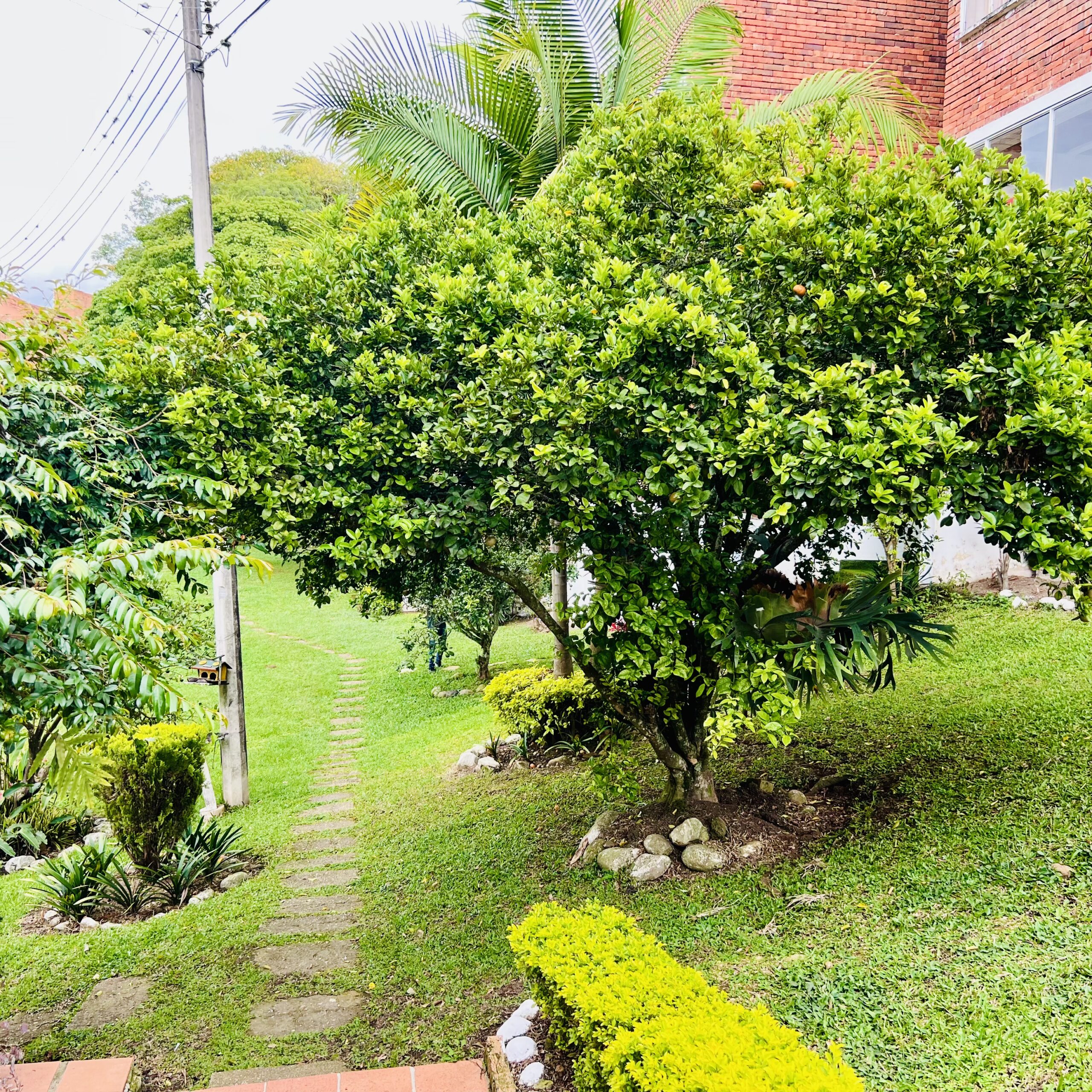 HERMOSA CASA EN SANTA ANA CAMPESTRE - Image 42